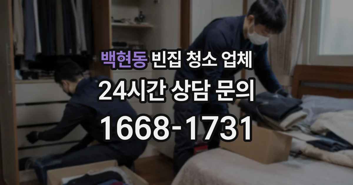백현동 빈집 청소 업체