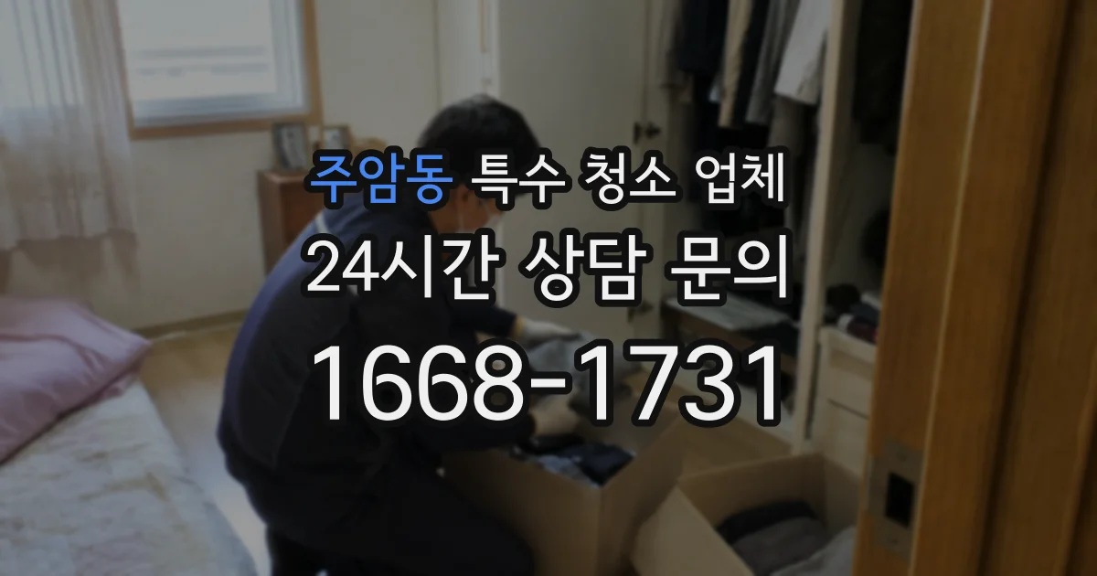 주암동 특수 청소 업체