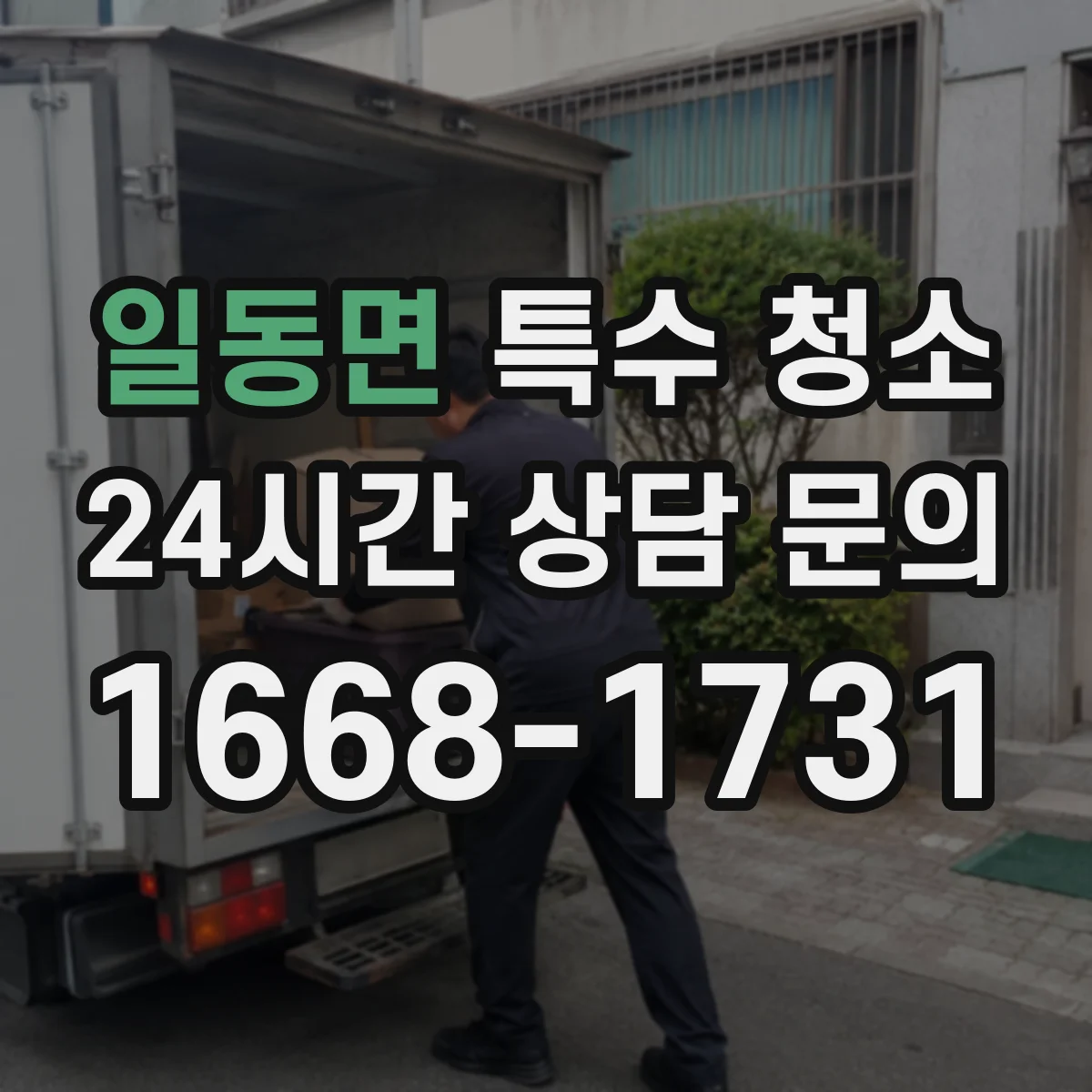 일동면 특수 청소