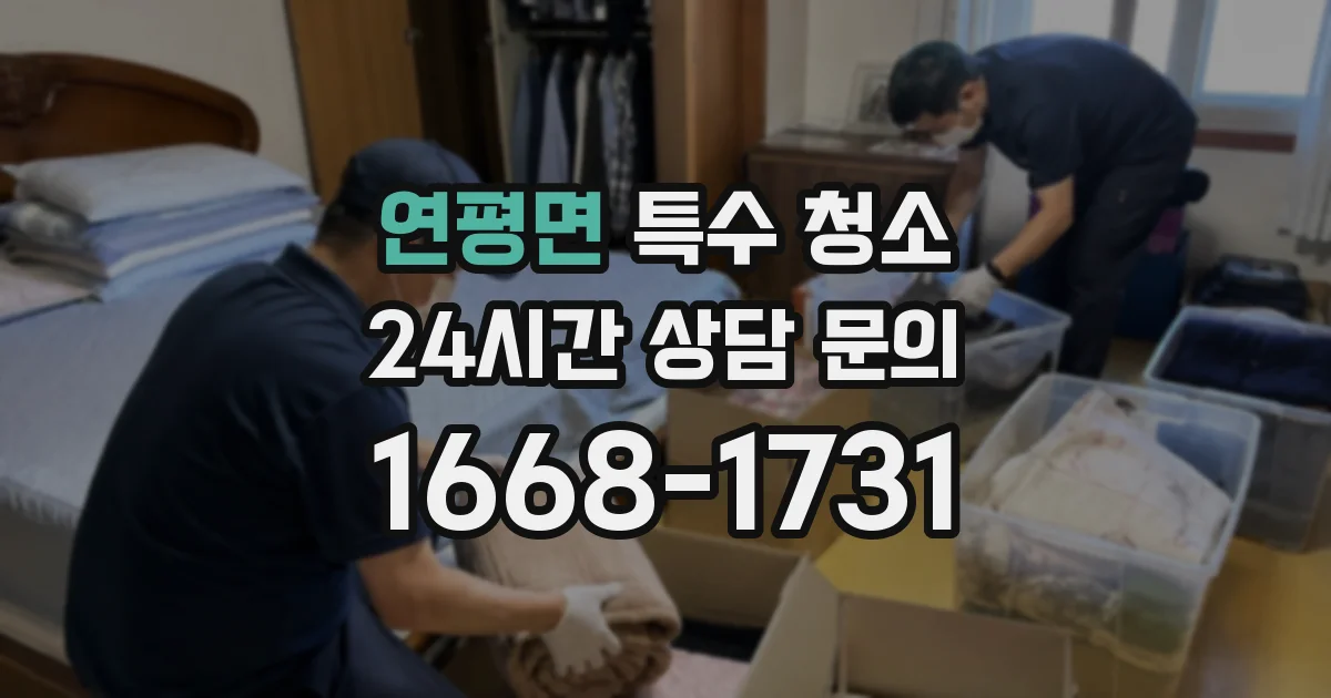 연평면 특수 청소