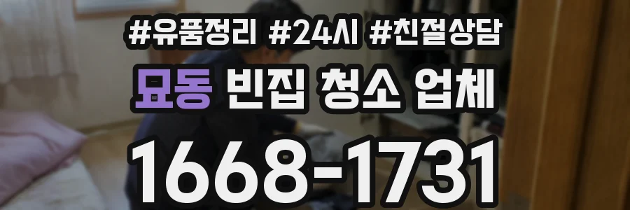 묘동 빈집 청소 업체