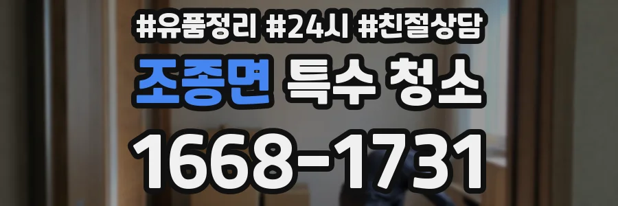 조종면 특수 청소
