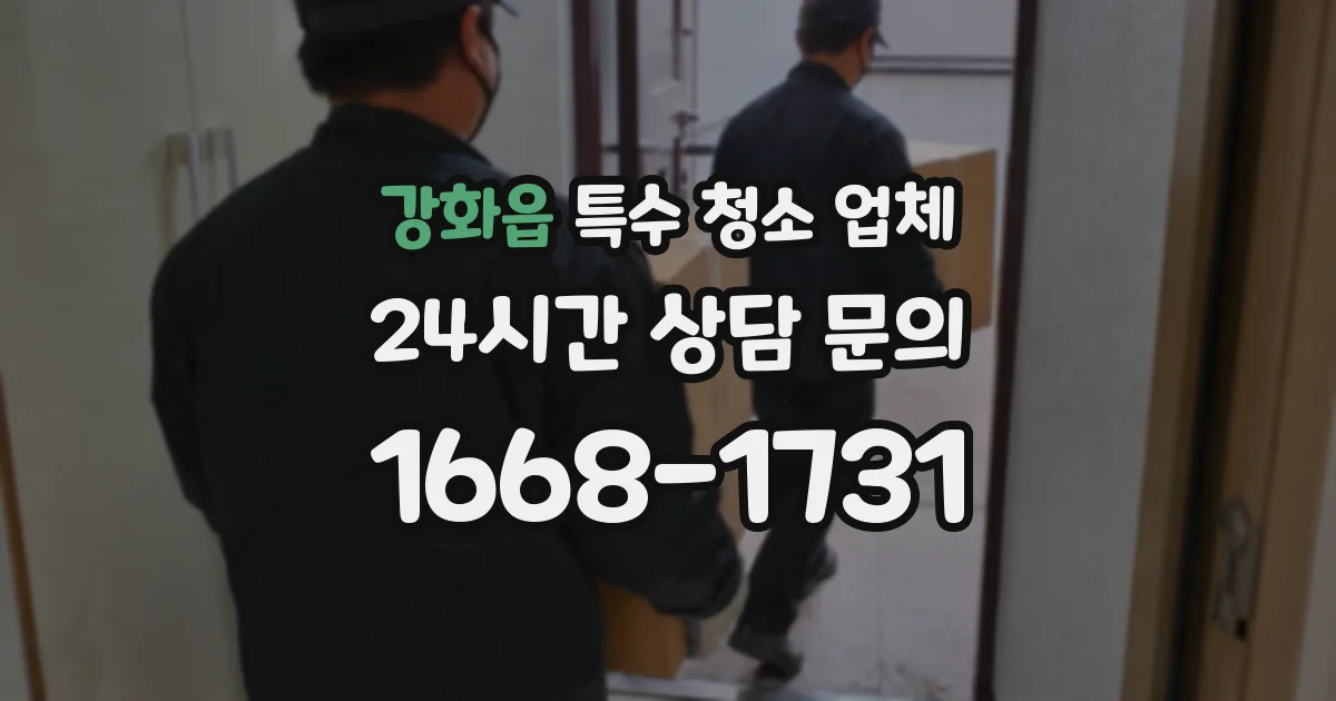 강화읍 특수 청소 업체