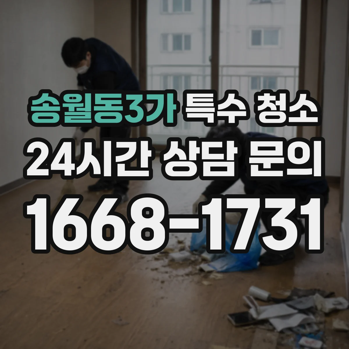 송월동3가 특수 청소