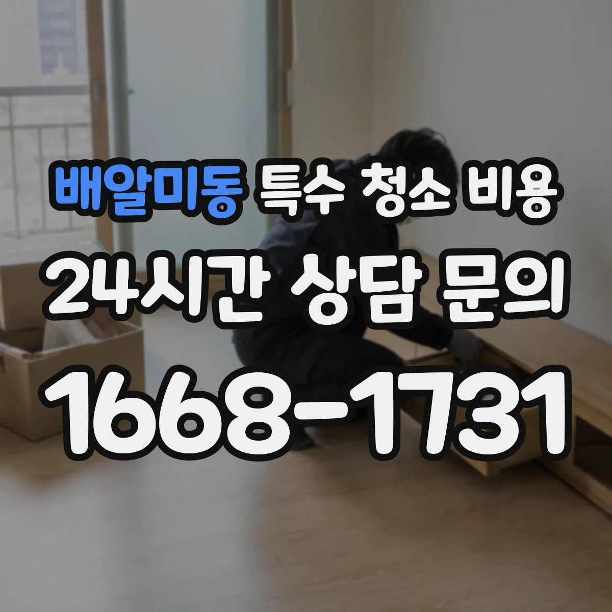 배알미동 특수 청소 비용