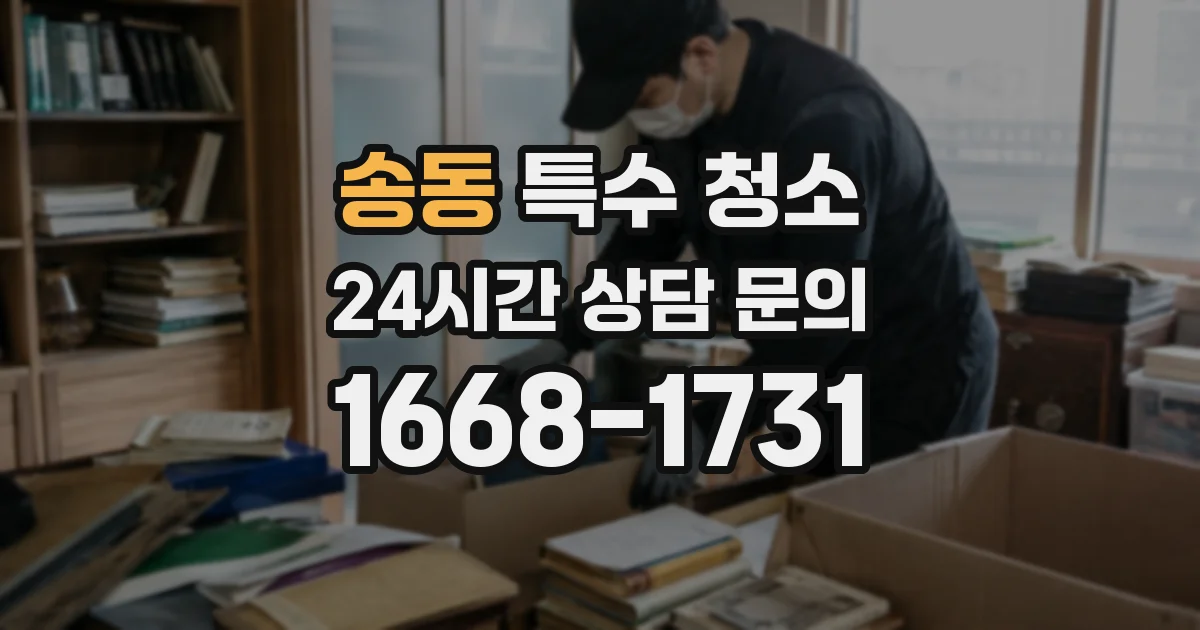 송동 특수 청소