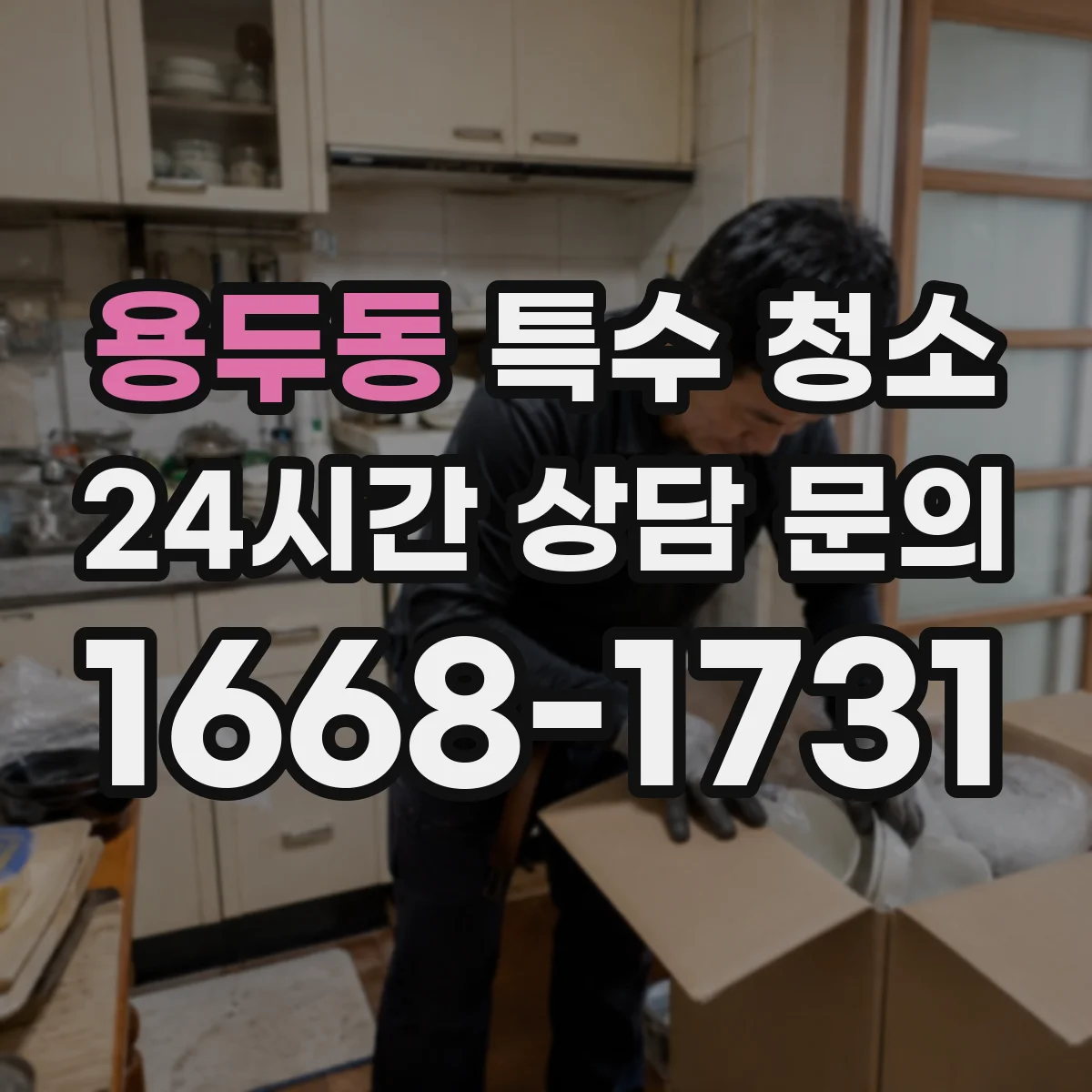 용두동 특수 청소
