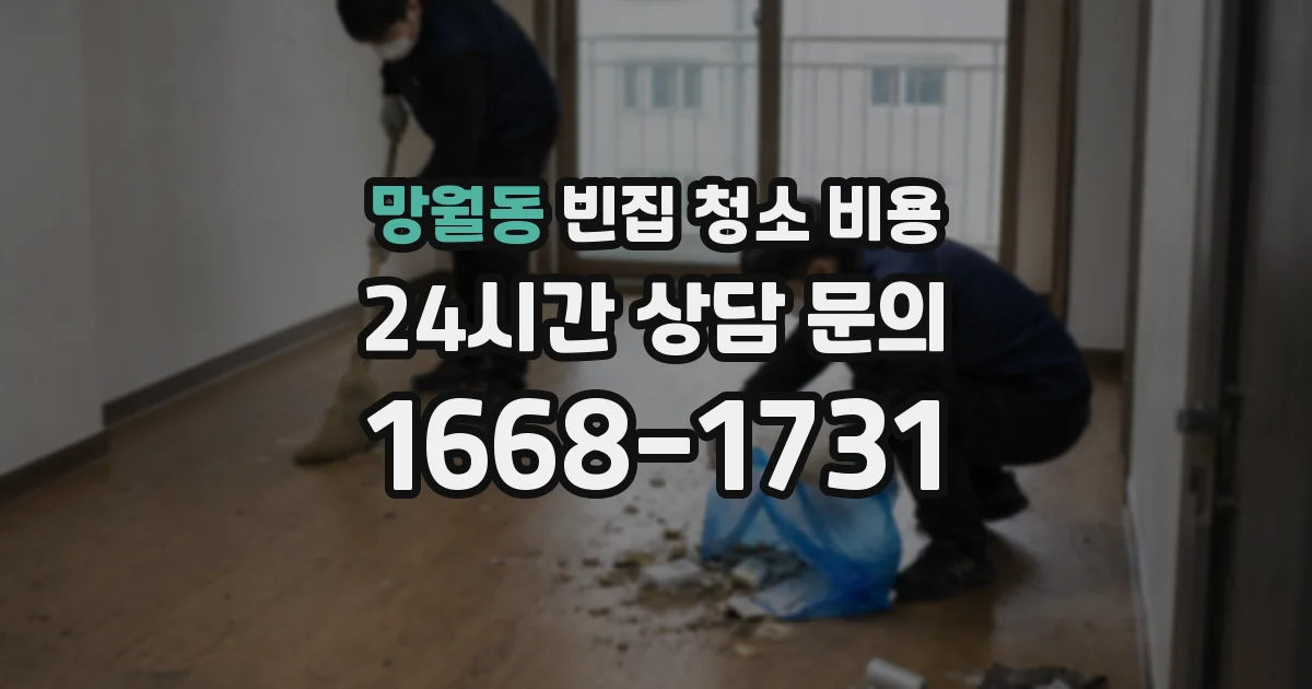 망월동 빈집 청소 비용