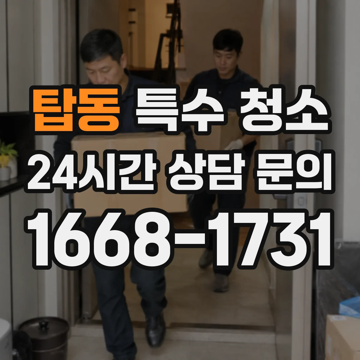 탑동 특수 청소