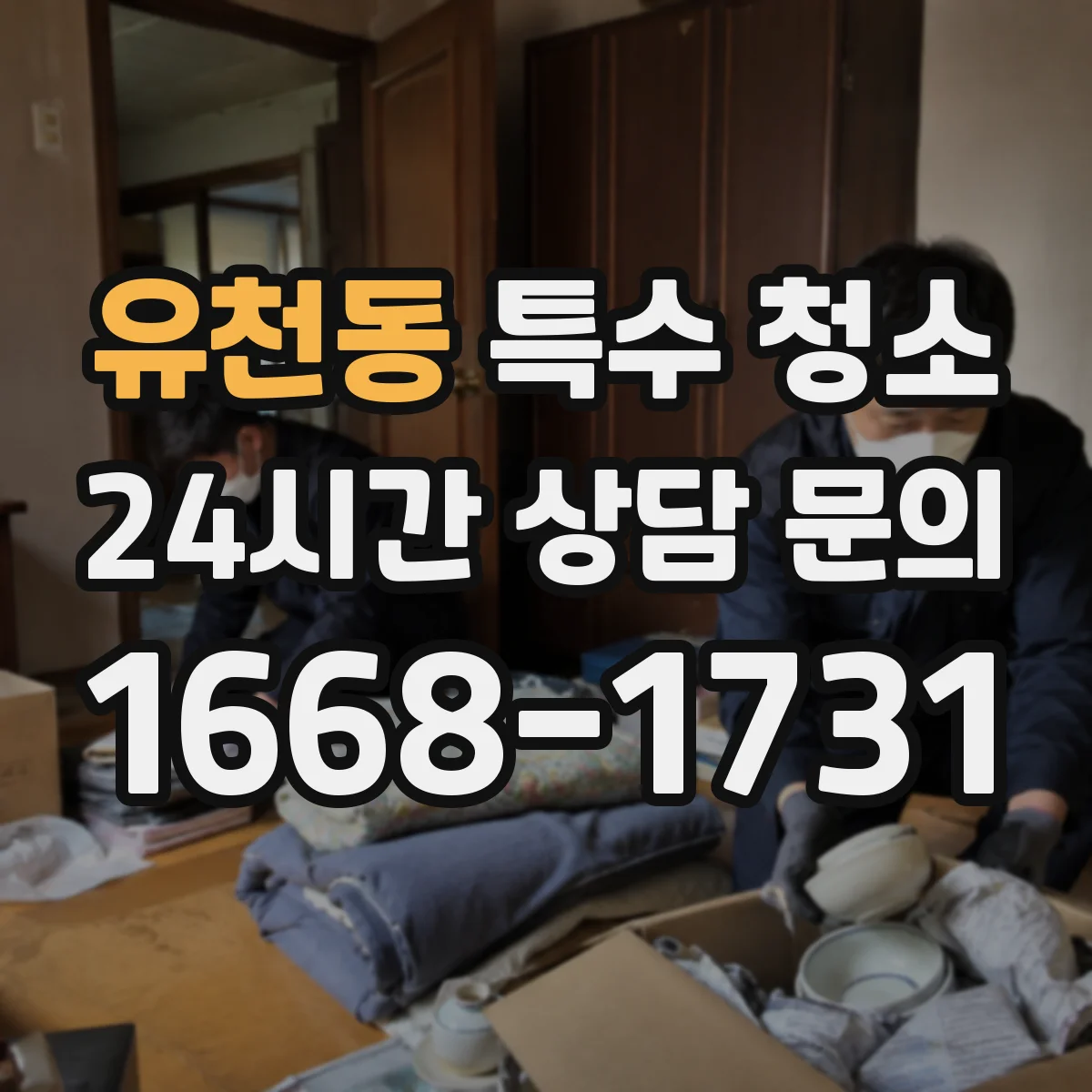 유천동 특수 청소
