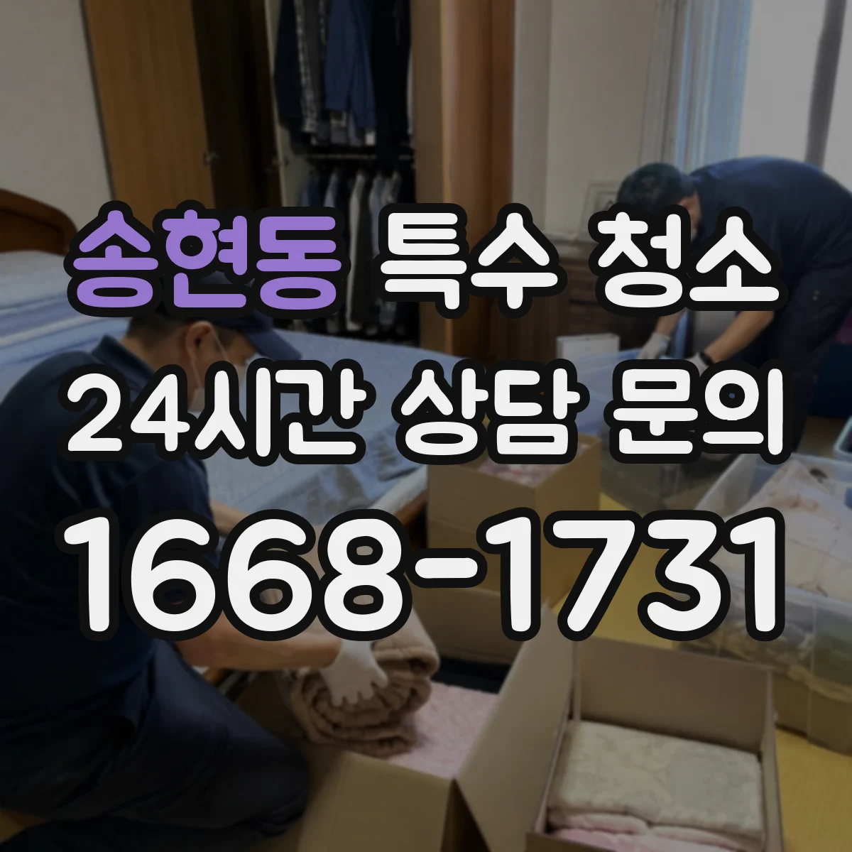 송현동 특수 청소