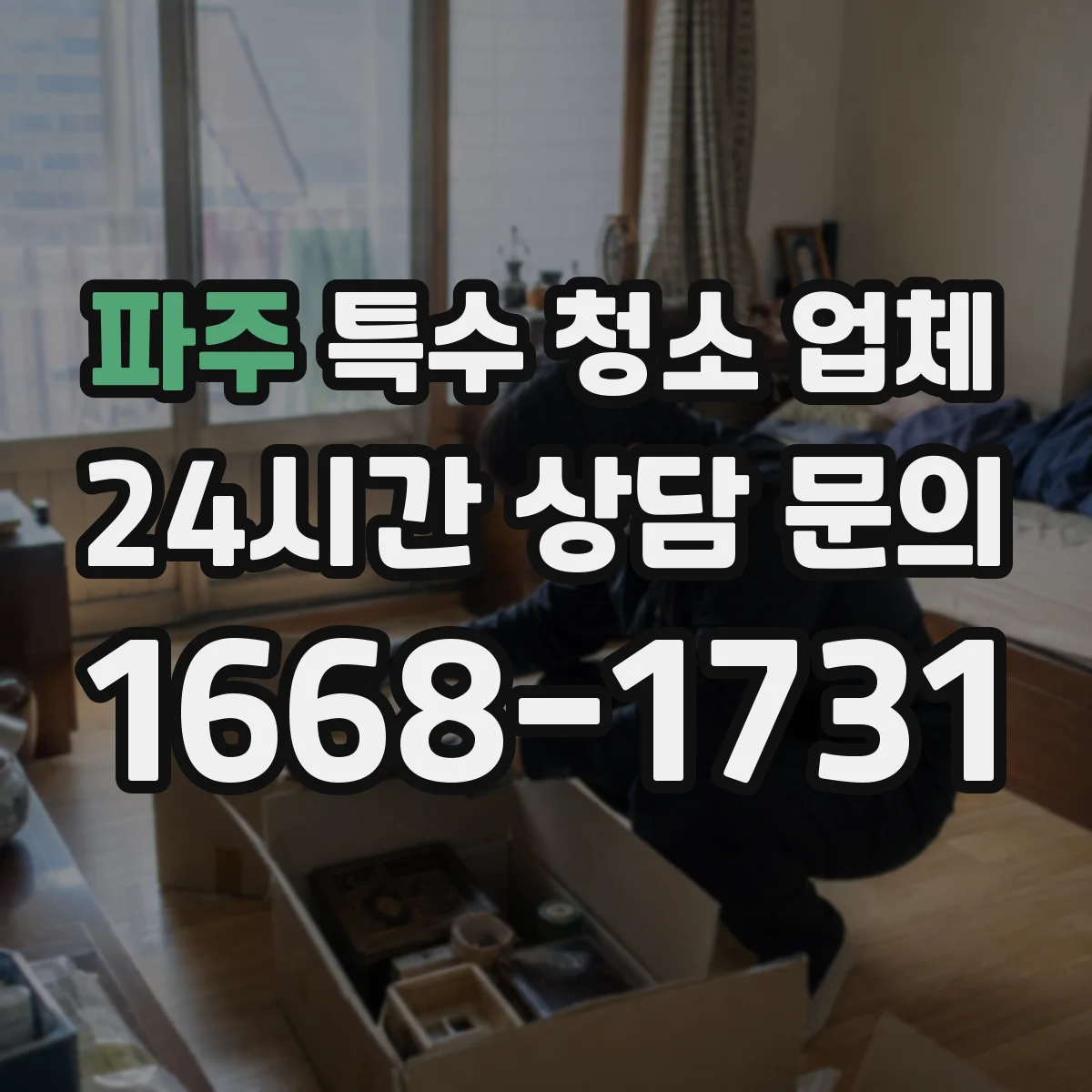 파주 특수 청소 업체 벽지 오염 범위 판단해 곰팡이 재발 차단