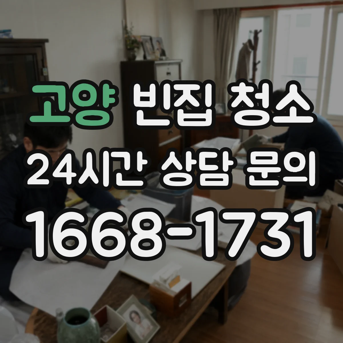 고양 빈집 청소 창틀·벽면 배설물 흔적 닦아내기