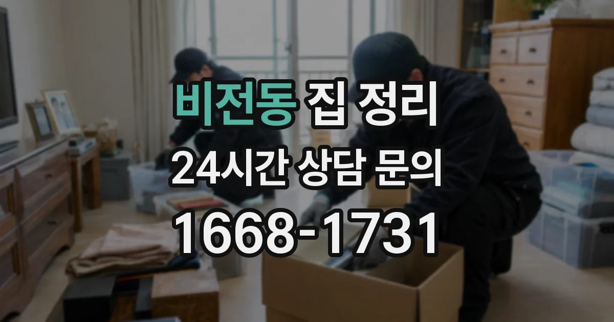 비전동 집 정리