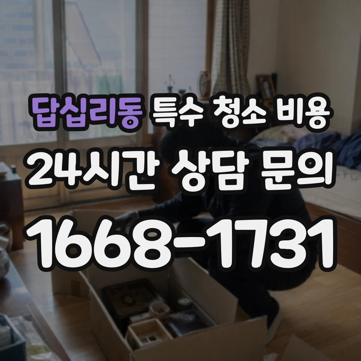 답십리동 특수 청소 비용