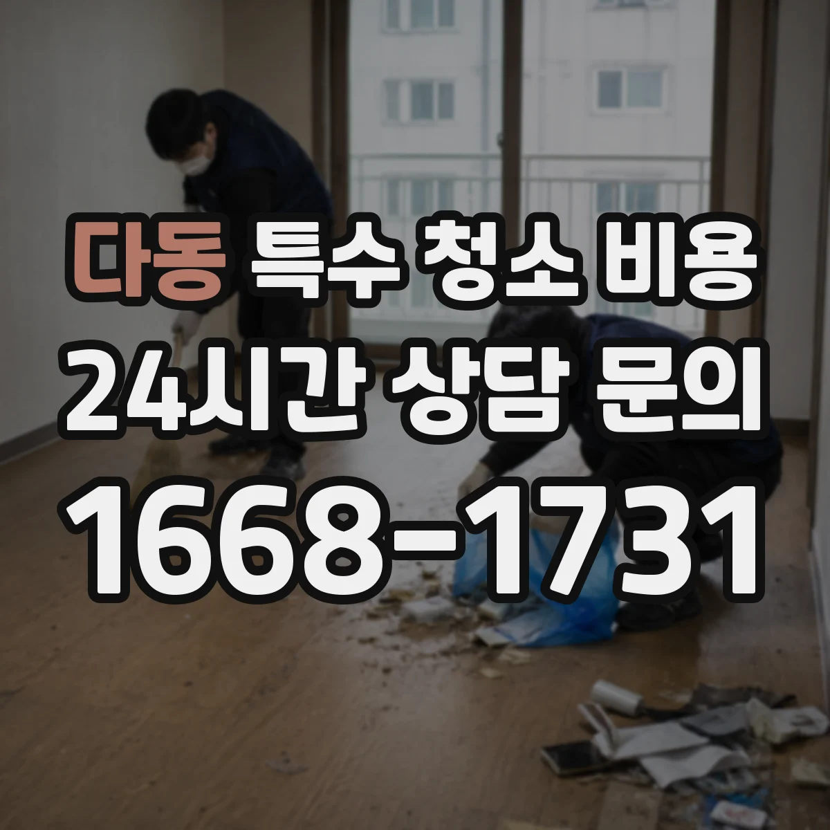 다동 특수 청소 비용