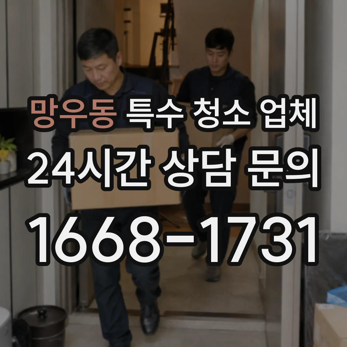 망우동 특수 청소 업체