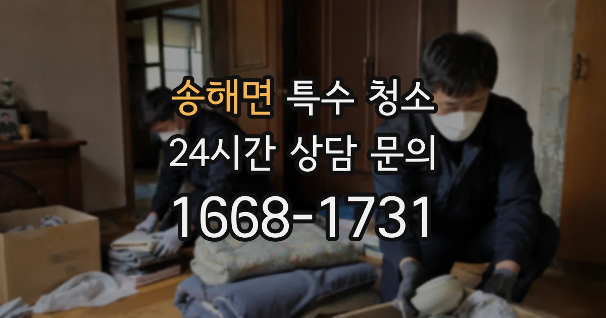 송해면 특수 청소