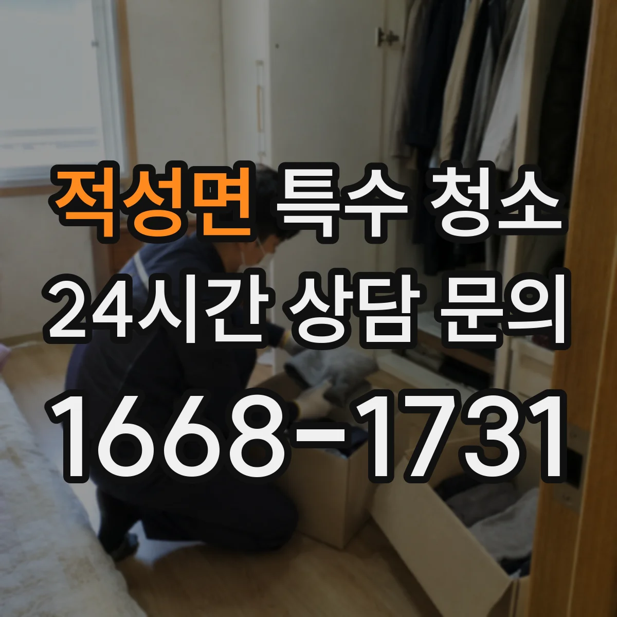 적성면 특수 청소