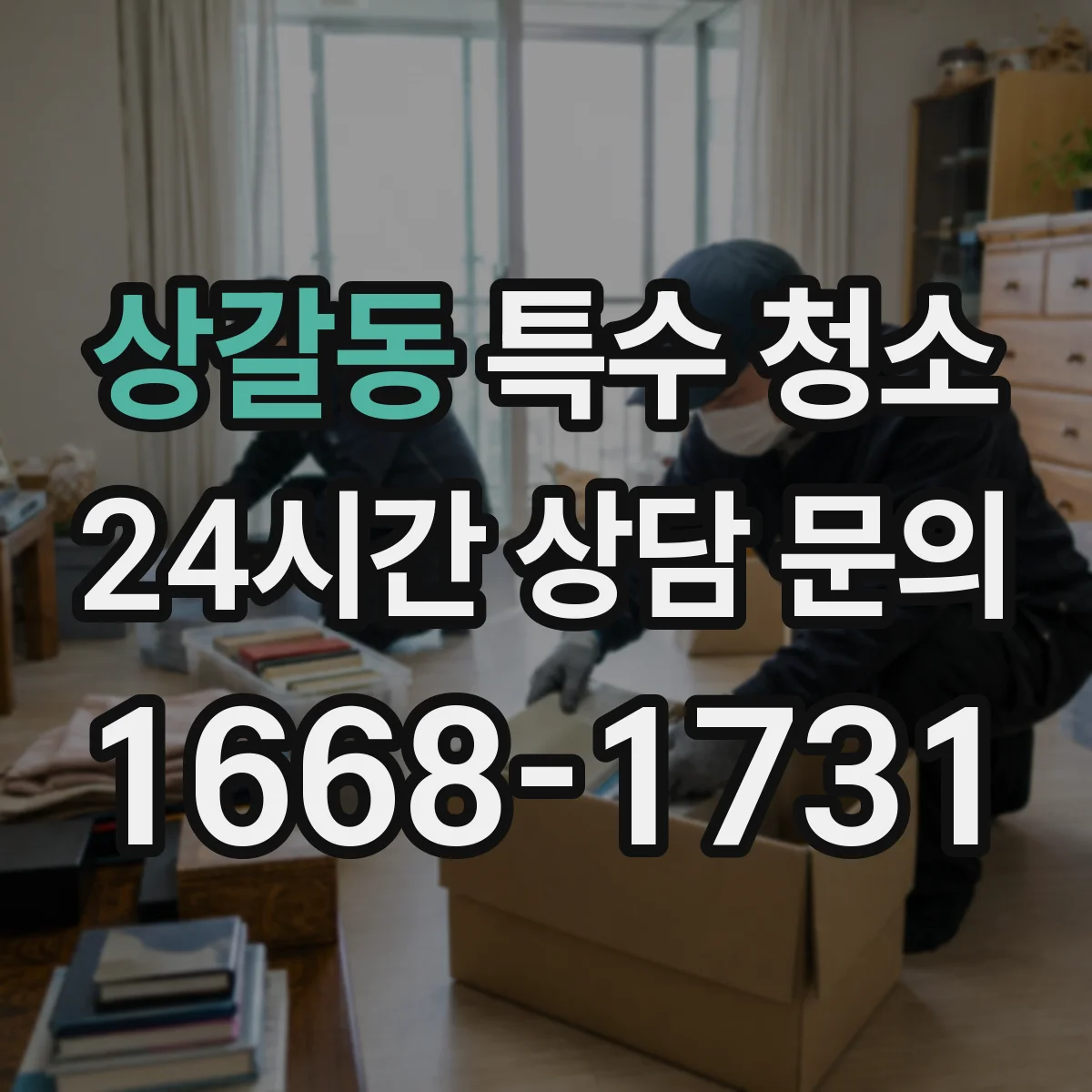 상갈동 특수 청소