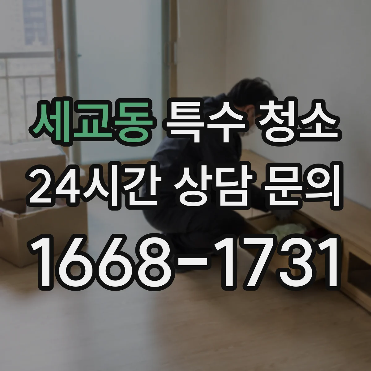 세교동 특수 청소