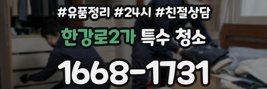 한강로2가 특수 청소