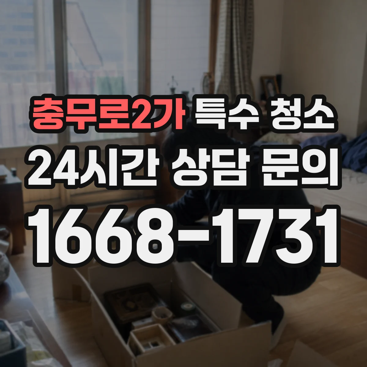 충무로2가 특수 청소