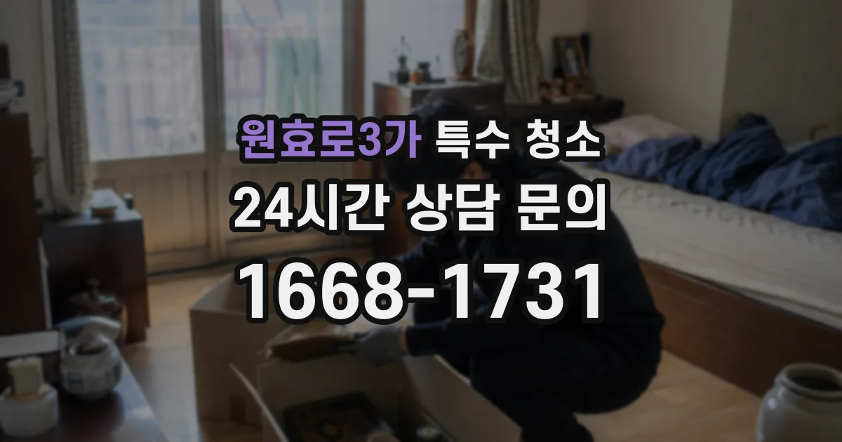 원효로3가 특수 청소