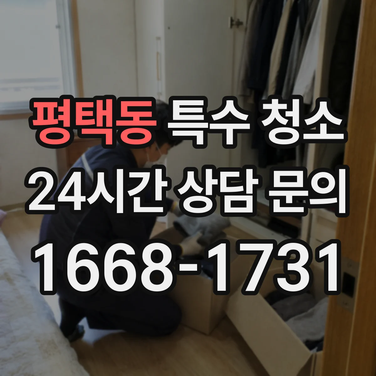 평택동 특수 청소
