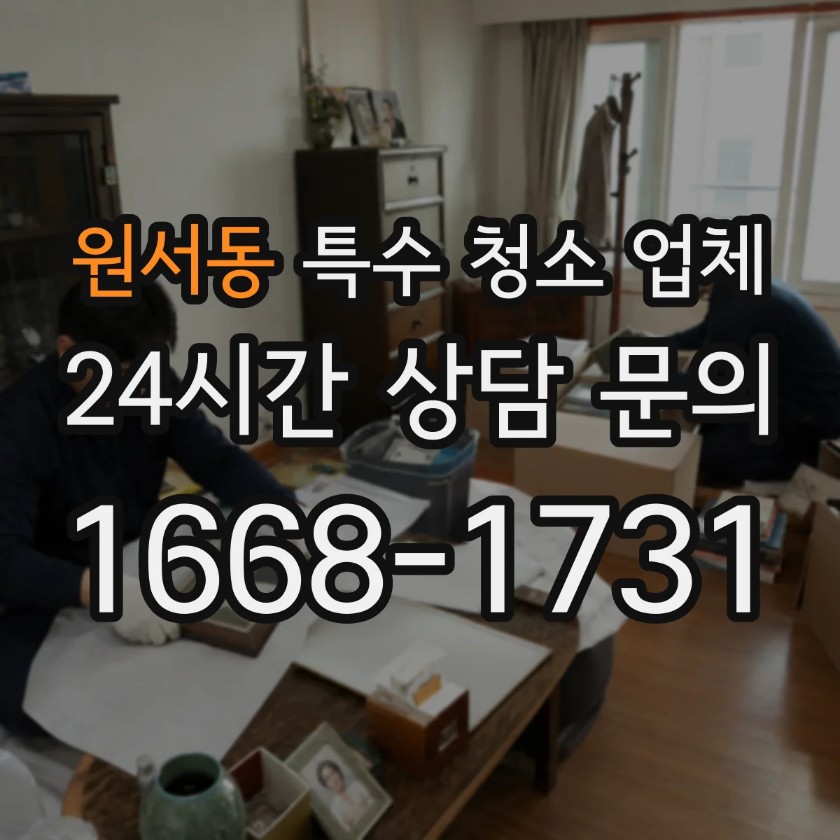원서동 특수 청소 업체