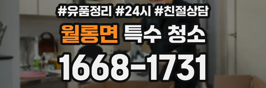 월롱면 특수 청소