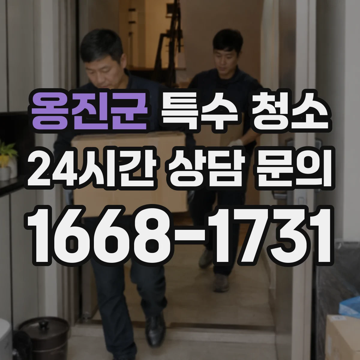 옹진군 특수 청소