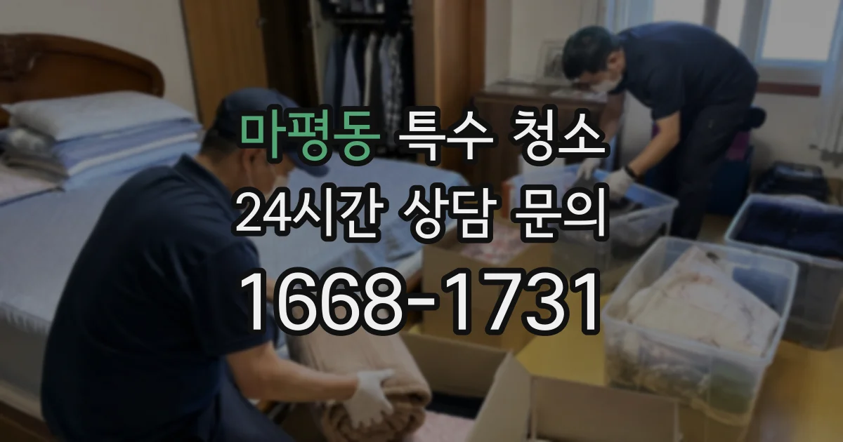마평동 특수 청소