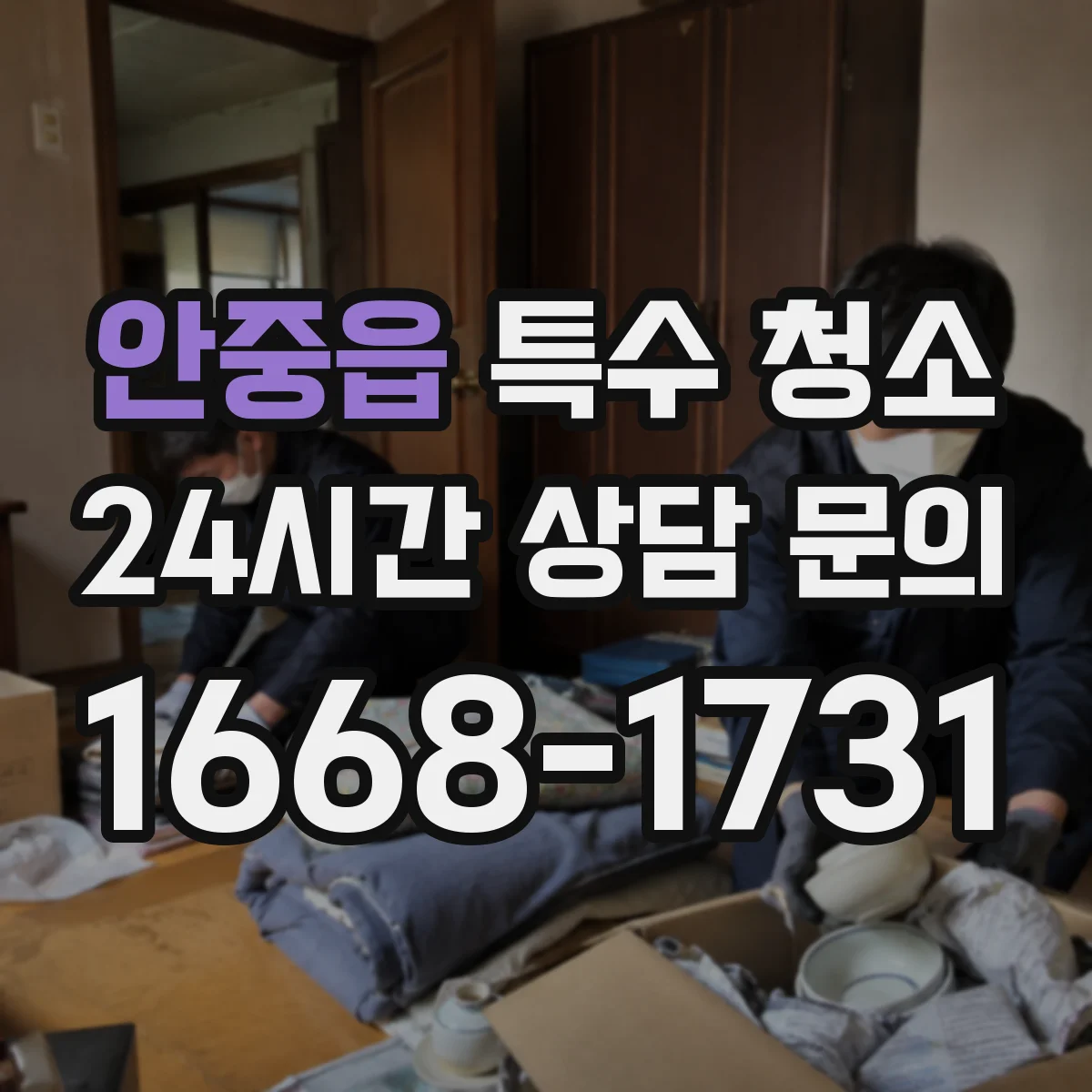 안중읍 특수 청소