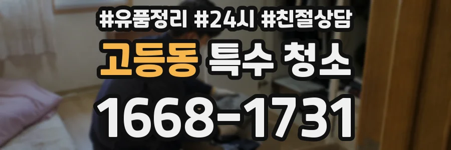 고등동 특수 청소