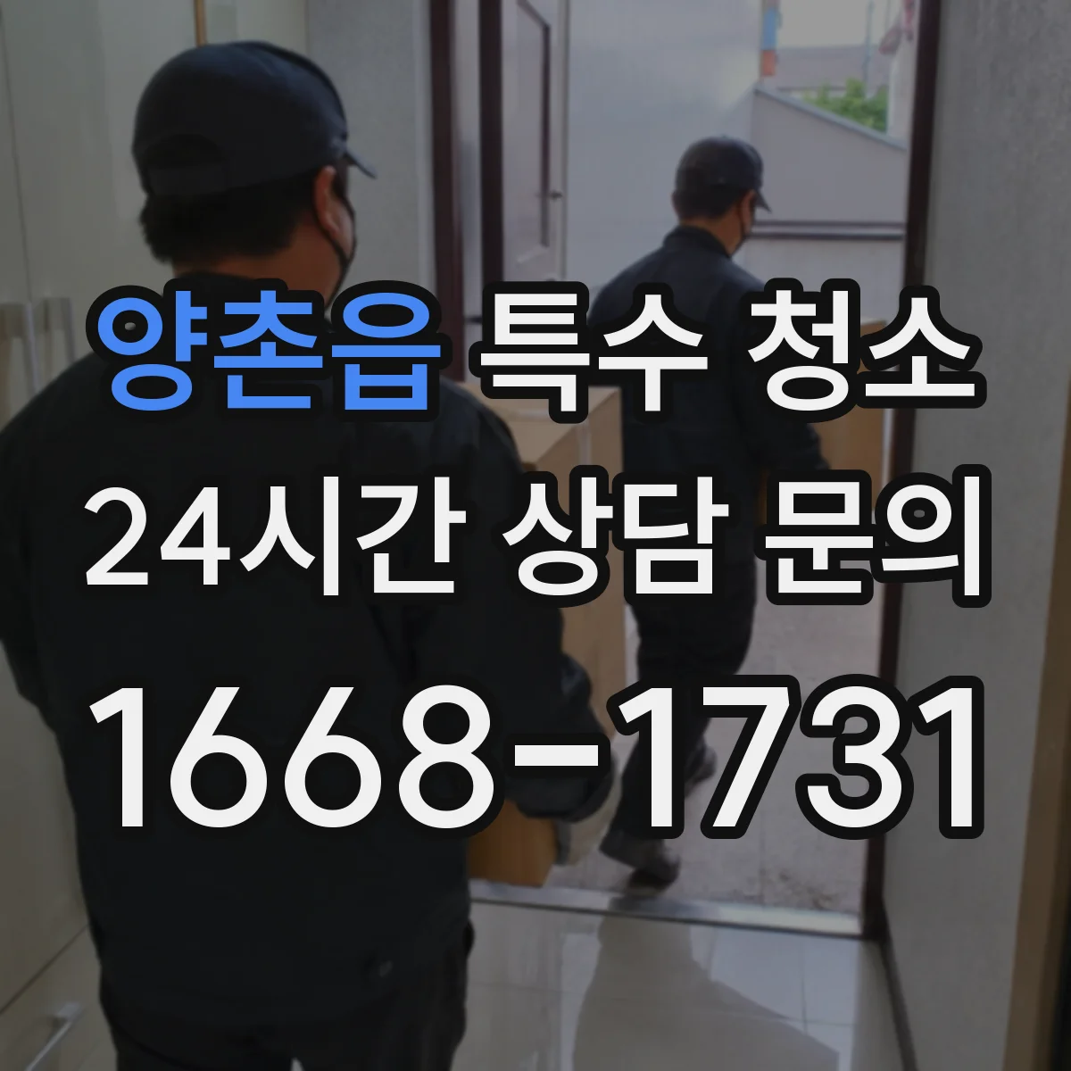양촌읍 특수 청소