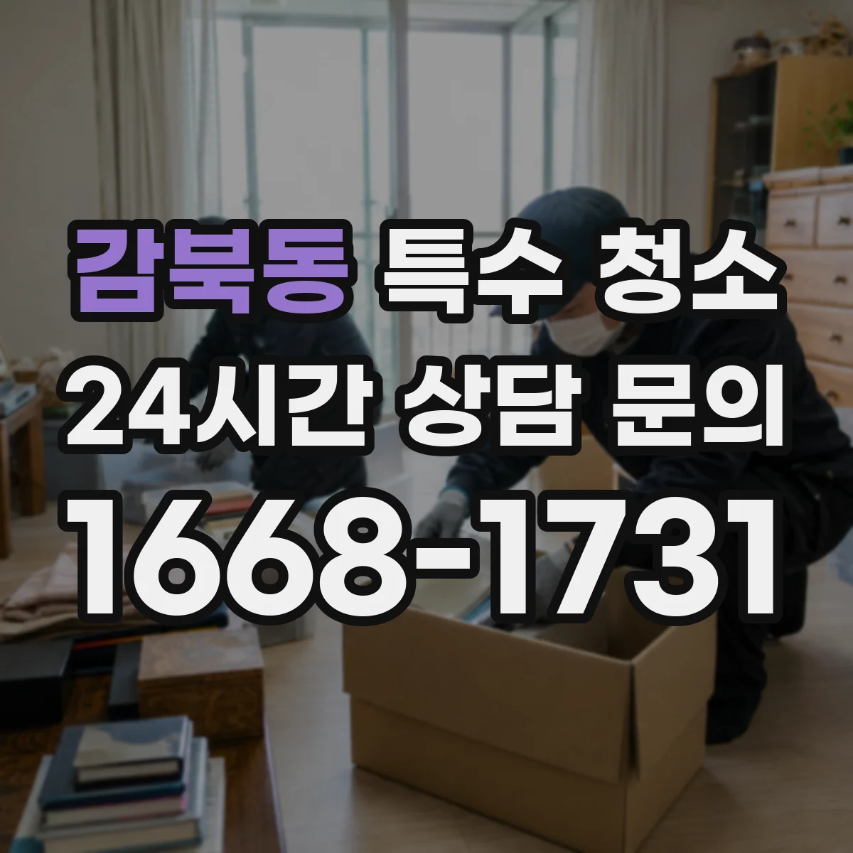감북동 특수 청소