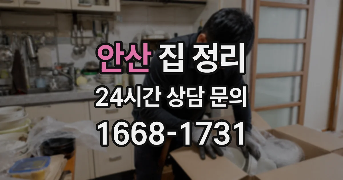안산 집 정리
