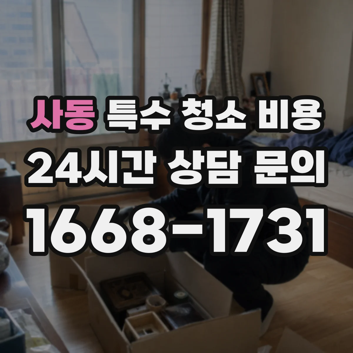 사동 특수 청소 비용