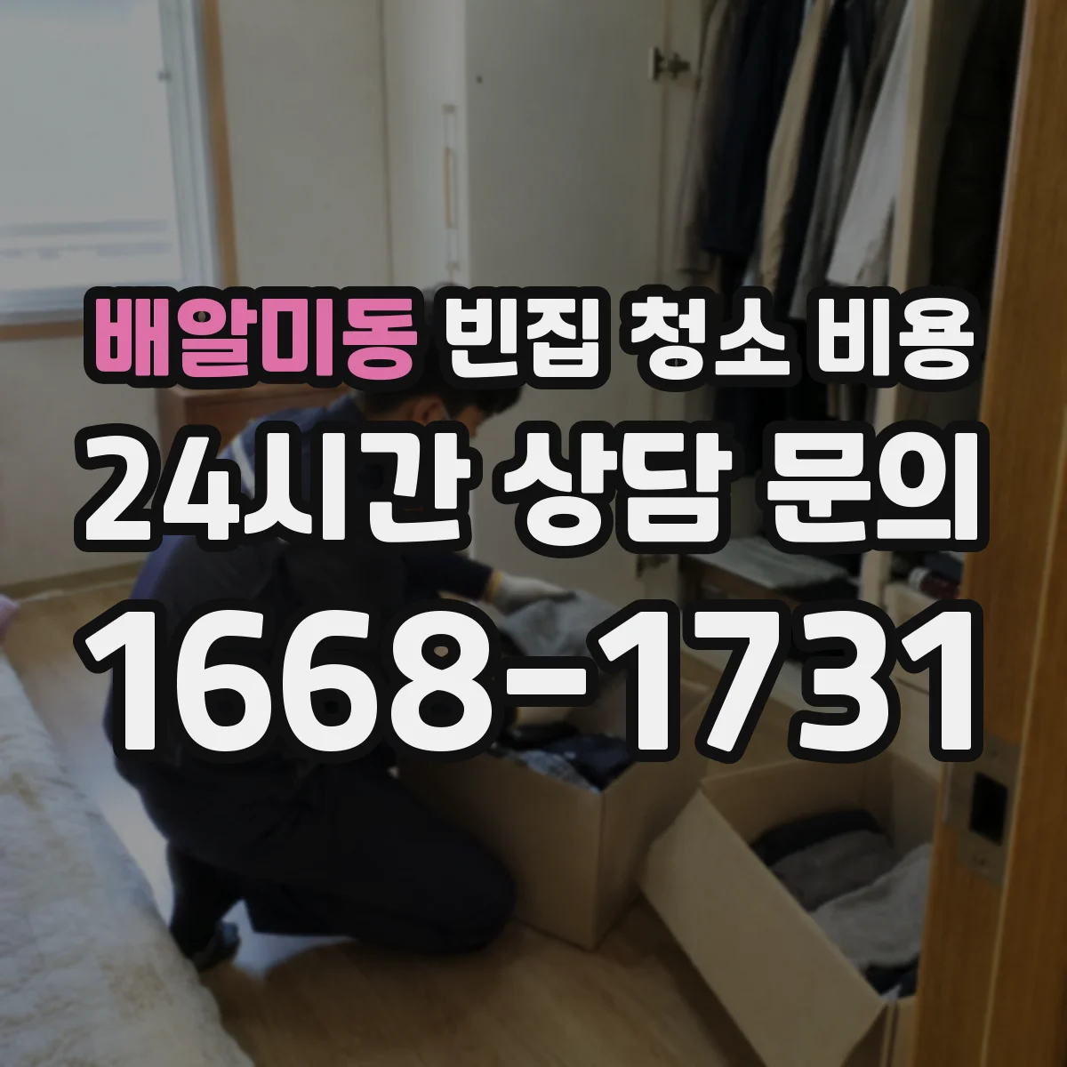 배알미동 빈집 청소 비용