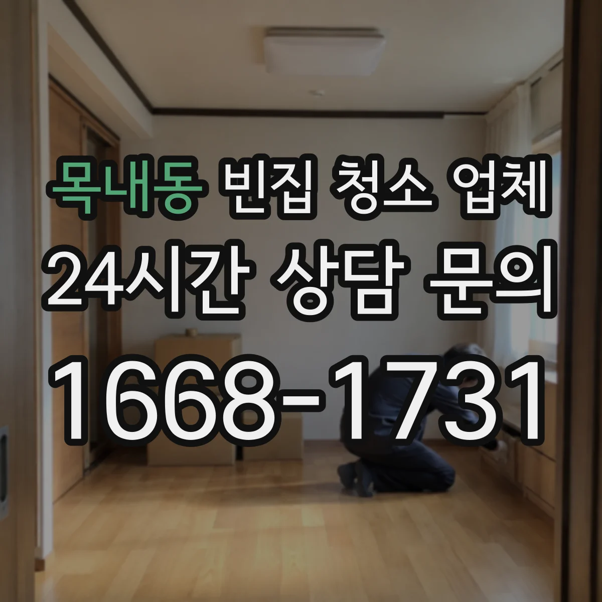 목내동 빈집 청소 업체