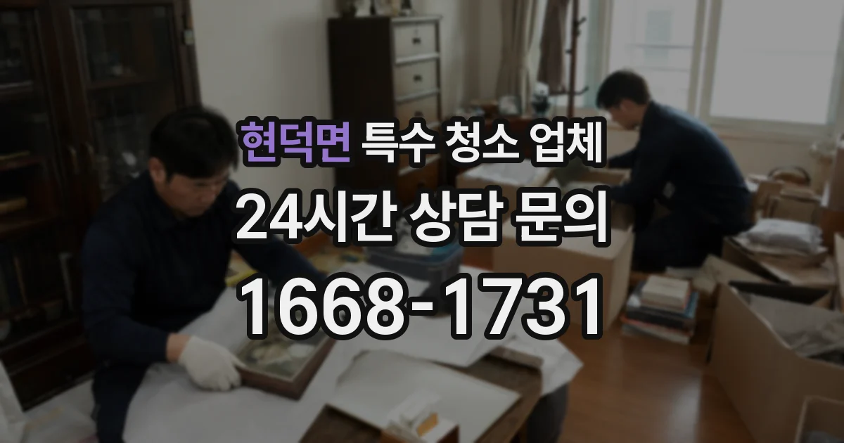 현덕면 특수 청소 업체