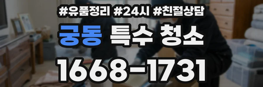 궁동 특수 청소