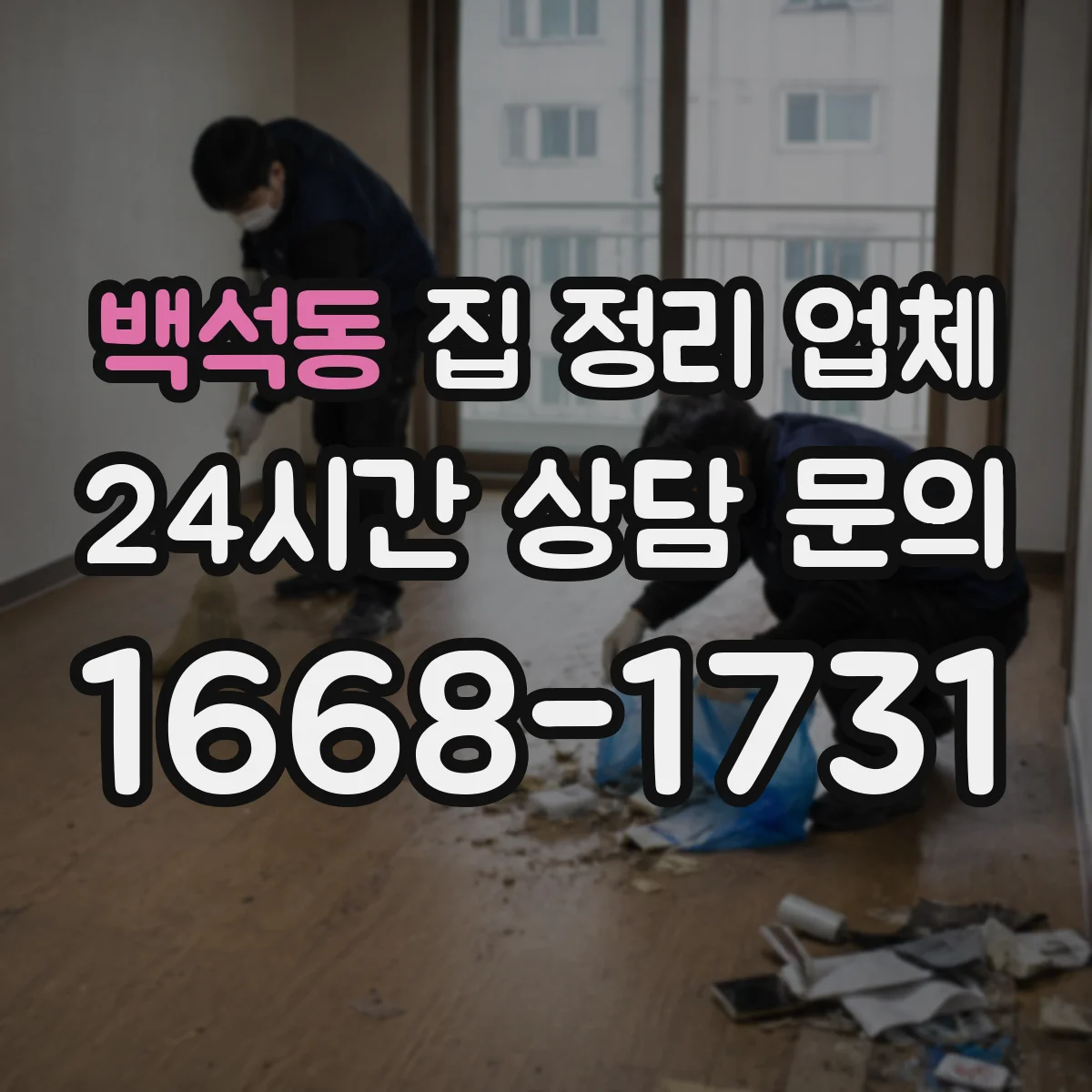 백석동 집 정리 업체