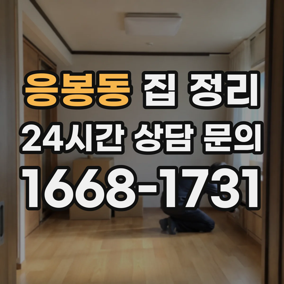응봉동 집 정리