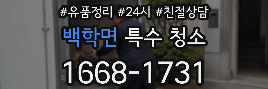 백학면 특수 청소