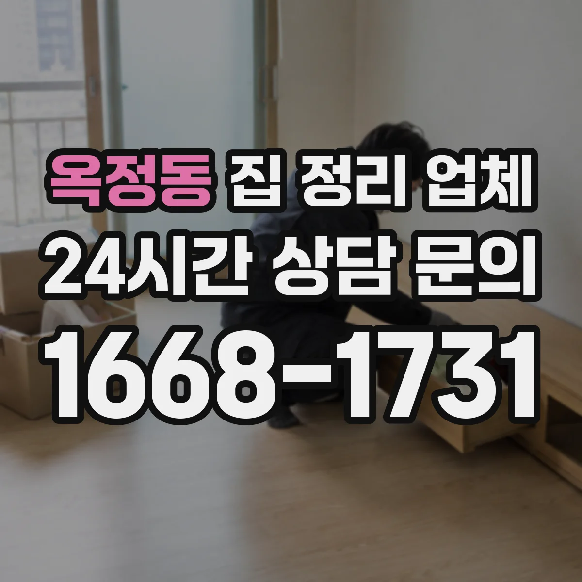 옥정동 집 정리 업체