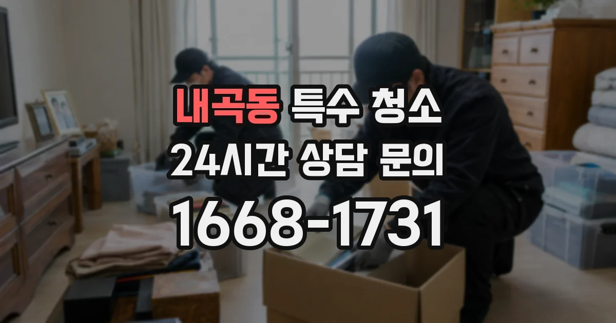 내곡동 특수 청소