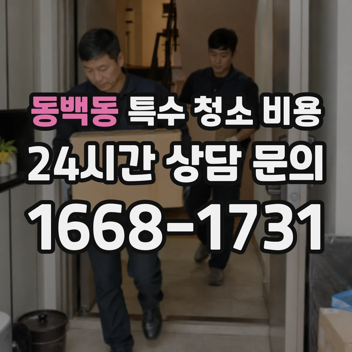 동백동 특수 청소 비용