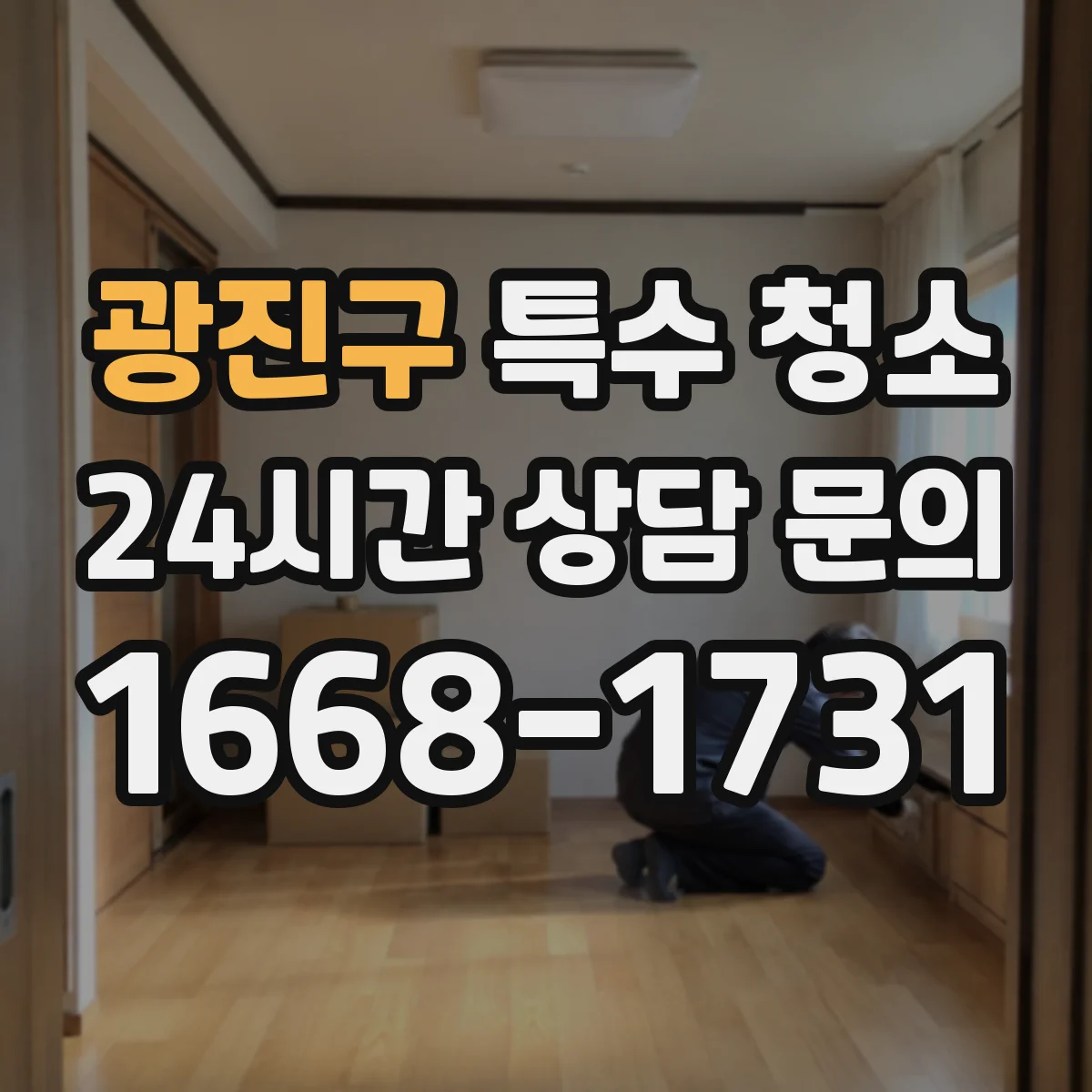 광진구 특수 청소
